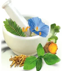 Welcome to AYURVEDIC MEDICAL 